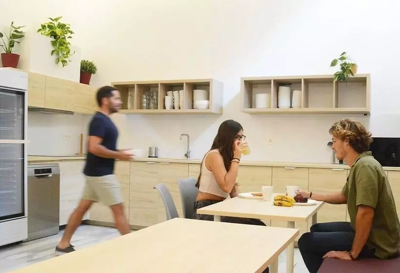 پانسیون Broz Hostel