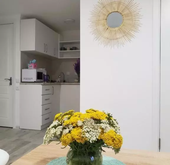 پانسیون Central Guesthouse Gyumri