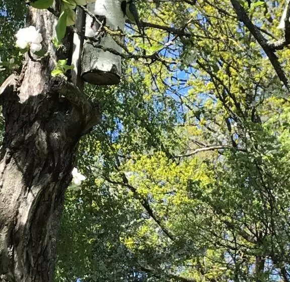 Vandrarhemmet östergatan