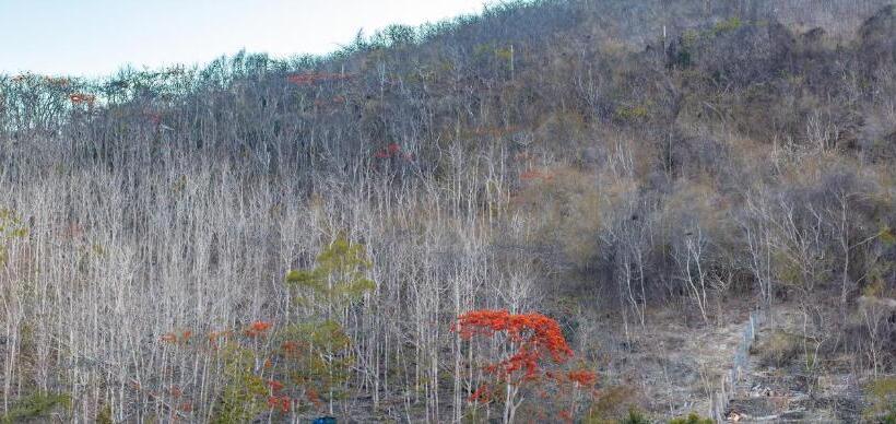 Amora Hotel & Apartment