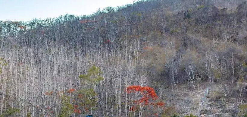 Amora Hotel & Apartment