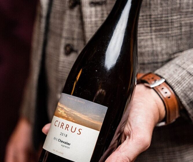 בית מלון כפרי Château De Maubreuil