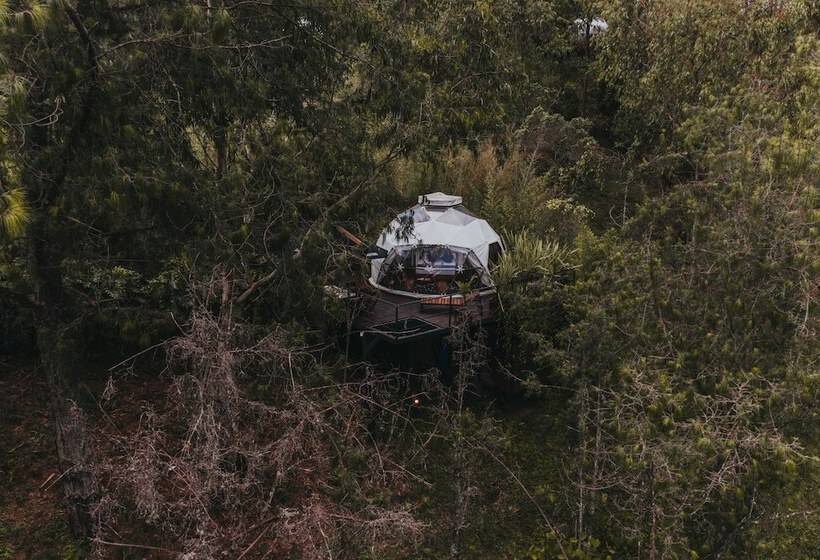 בית מלון כפרי Domus Glamping Guatapé