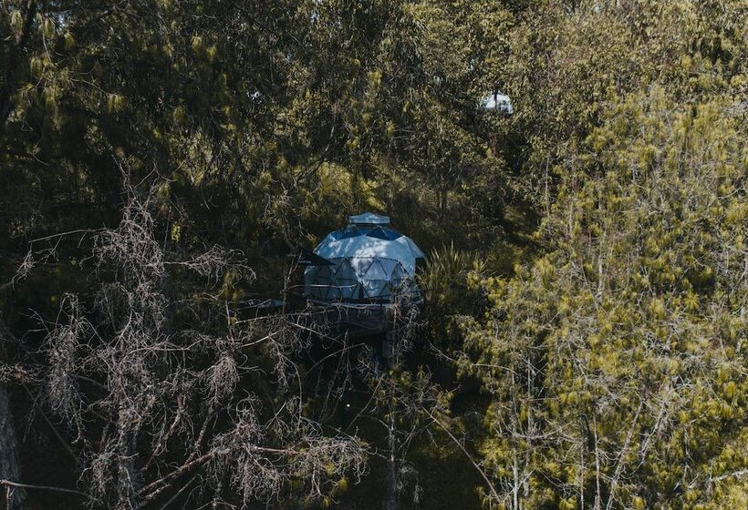 בית מלון כפרי Domus Glamping Guatapé