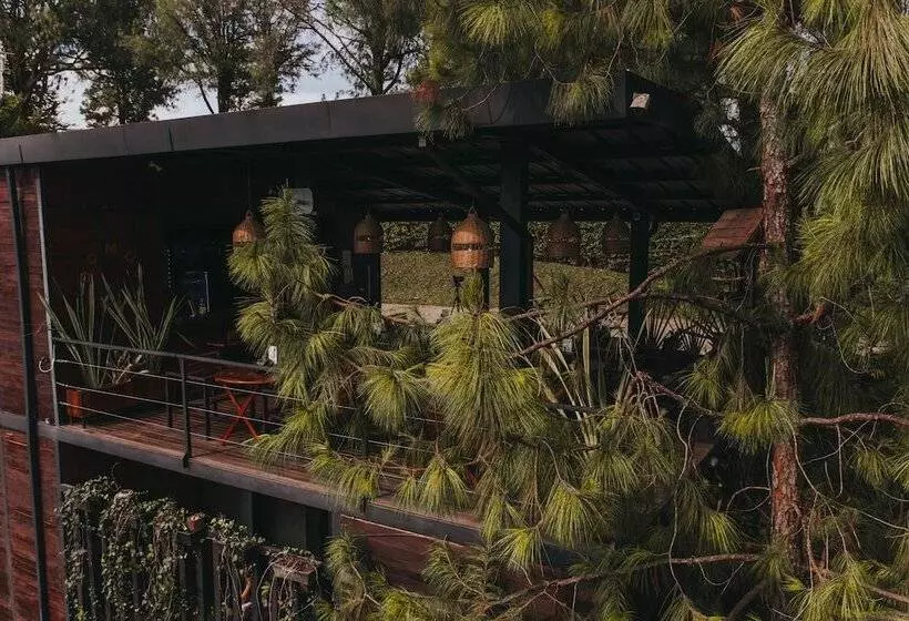 ホテル Domus Glamping Guatapé