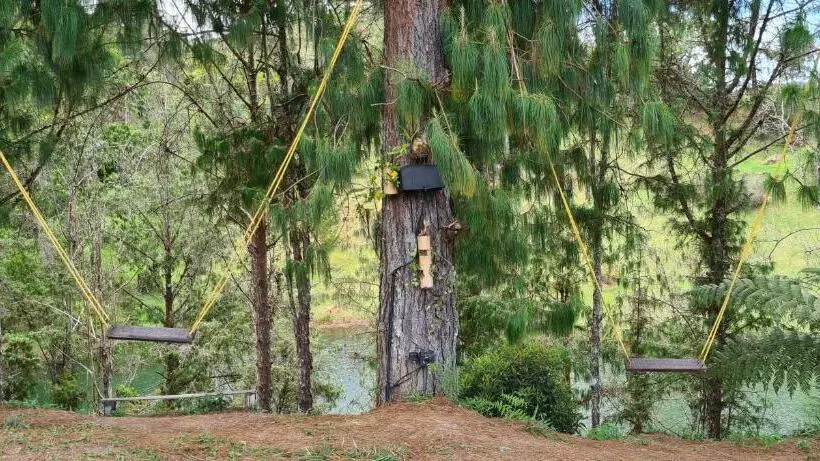 ホテル Domus Glamping Guatapé