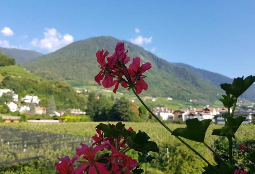 ホテル Pension Gartscheid