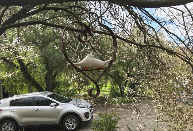 Bed and Breakfast Adagio In Auburn