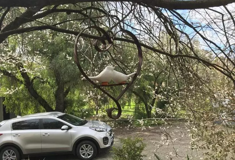 Aamiaismajoitus (B&B) Adagio In Auburn