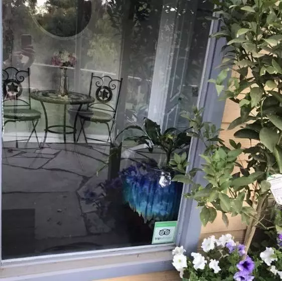 Aamiaismajoitus (B&B) Adagio In Auburn