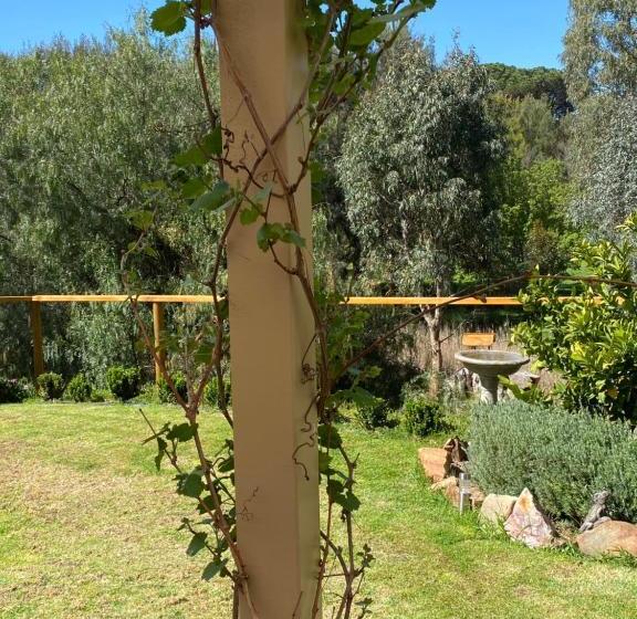 Bed and Breakfast Adagio In Auburn