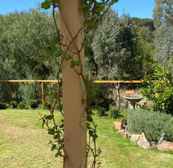 Aamiaismajoitus (B&B) Adagio In Auburn