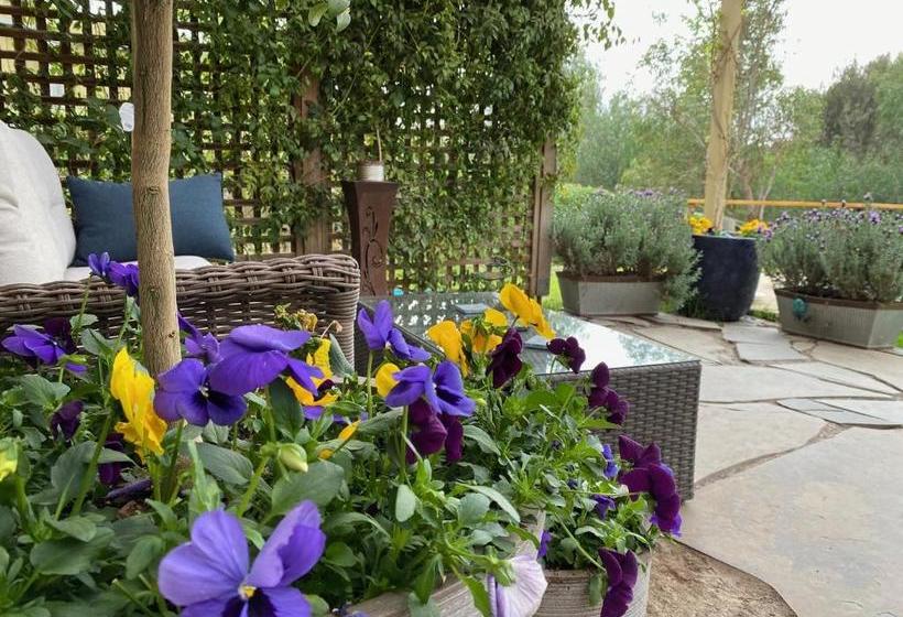 Bed and Breakfast Adagio In Auburn