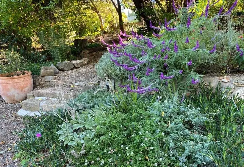 Aamiaismajoitus (B&B) Adagio In Auburn