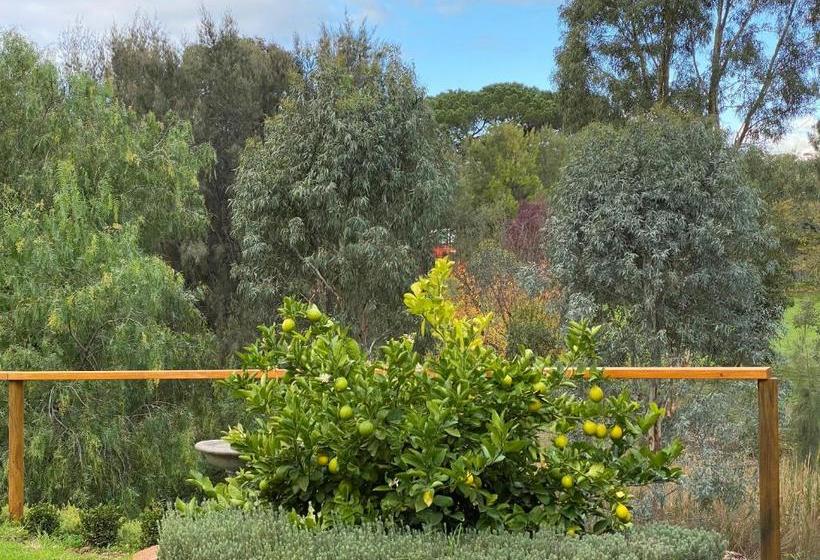 Bed and Breakfast Adagio In Auburn