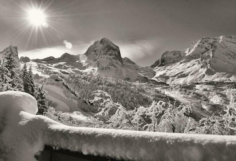 酒店 Hôtel Le Tremplin