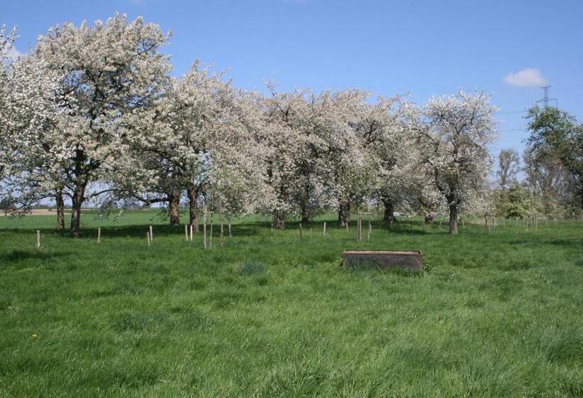 בית מלון כפרי Twee Broeders