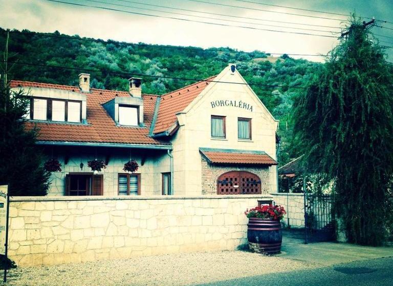 پانسیون Borgaléria