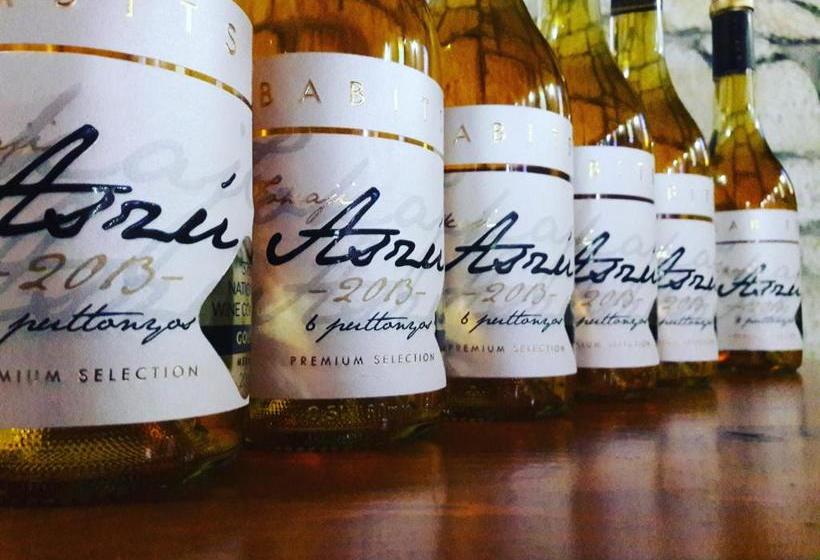 پانسیون Borgaléria