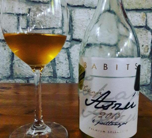 پانسیون Borgaléria