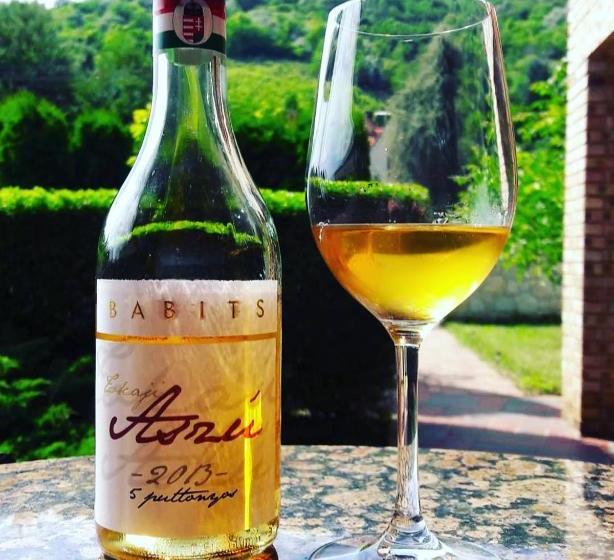 پانسیون Borgaléria