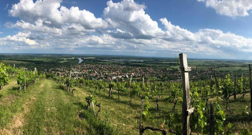 پانسیون Borgaléria