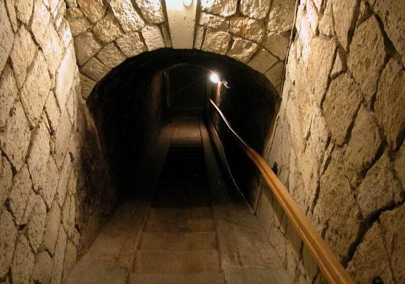 پانسیون Borgaléria