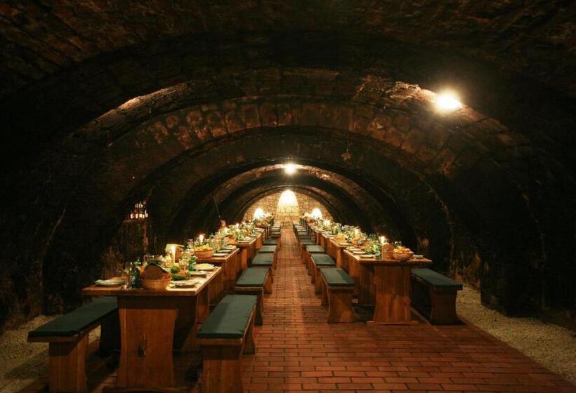 پانسیون Borgaléria