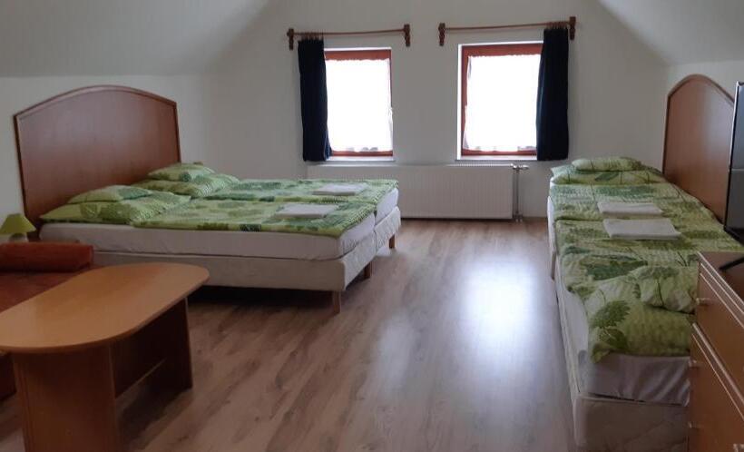 پانسیون Borgaléria