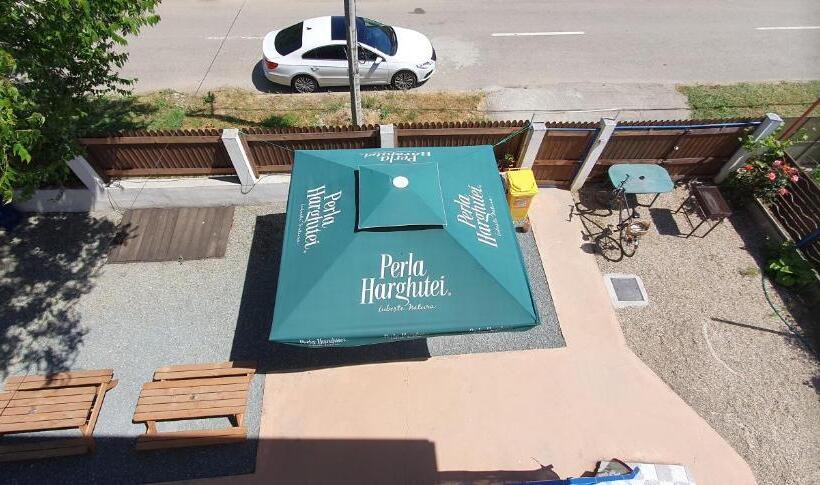 پانسیون Hostel Delfinul Albastru