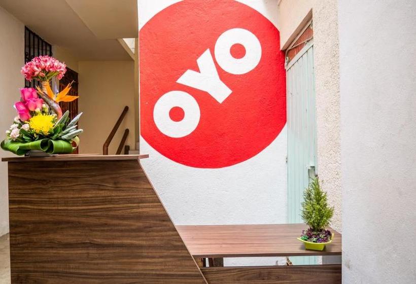 פנסיון Las Flores