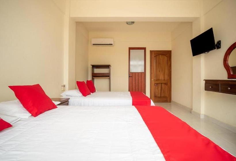 פנסיון Las Flores