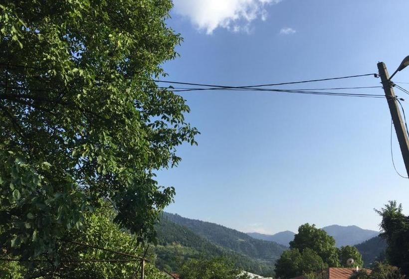 پانسیون Villa Borjomi