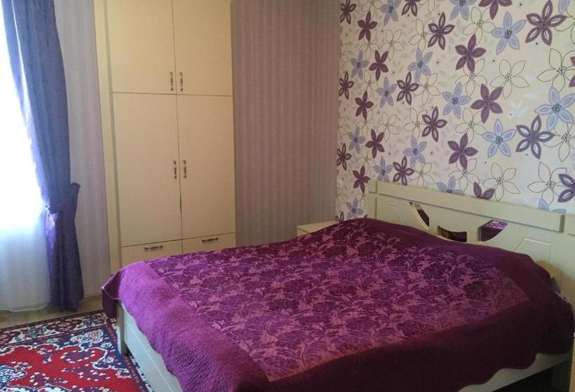 پانسیون Villa Borjomi