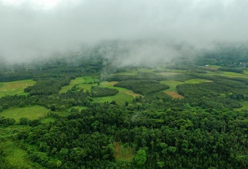 Курорт Vismita County