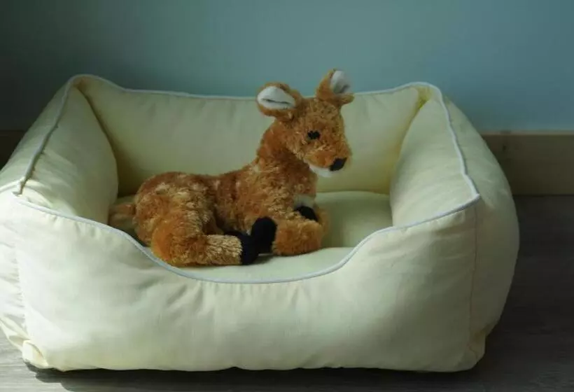 ベッドアンドブレックファースト Deer Run On The Atlantic