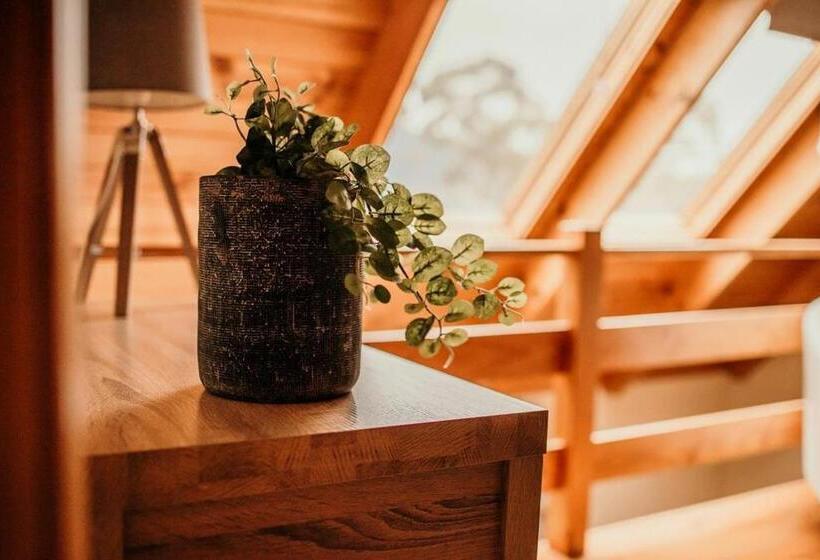 مبيت وإفطار Otago Cottage