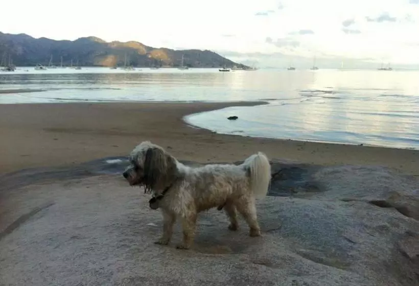 Executive Properties In North Ward Townsville And On Magnetic Island