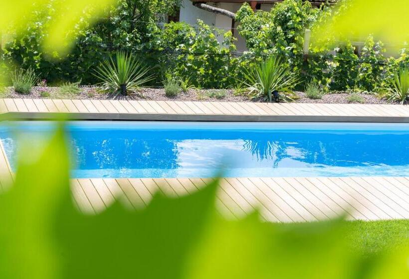 בית מלון כפרי Villa Montis