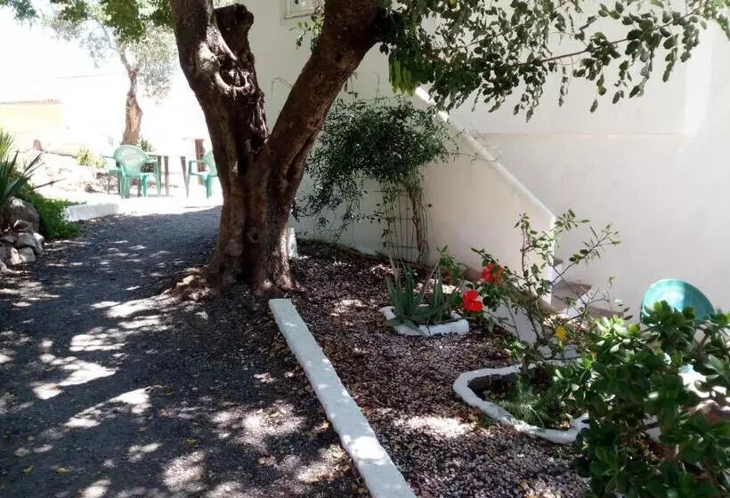 ペンション Olive Branch El Chorro