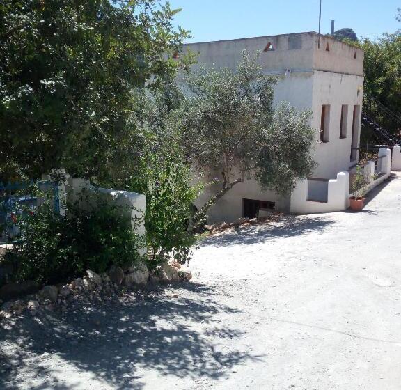 膳宿费 Olive Branch El Chorro