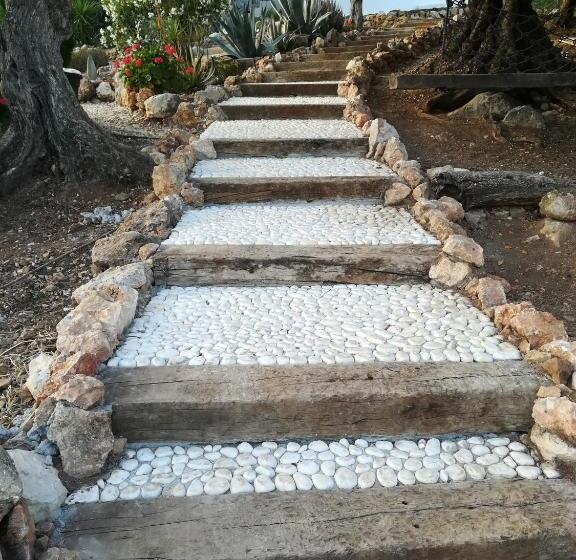 膳宿费 Olive Branch El Chorro