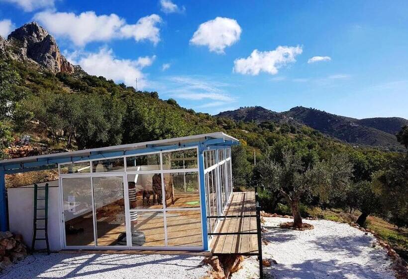 ペンション Olive Branch El Chorro