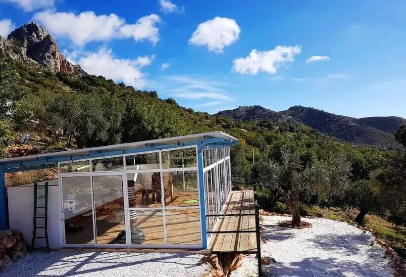 ペンション Olive Branch El Chorro