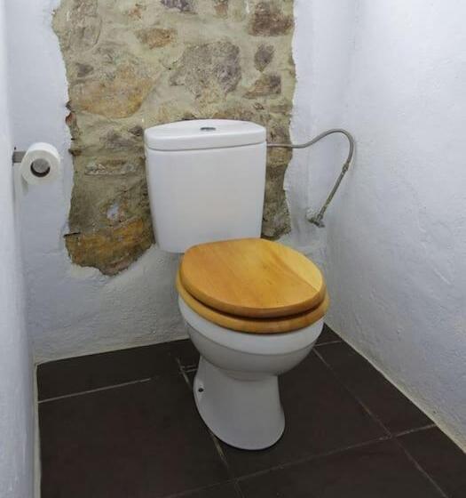 膳宿费 Olive Branch El Chorro