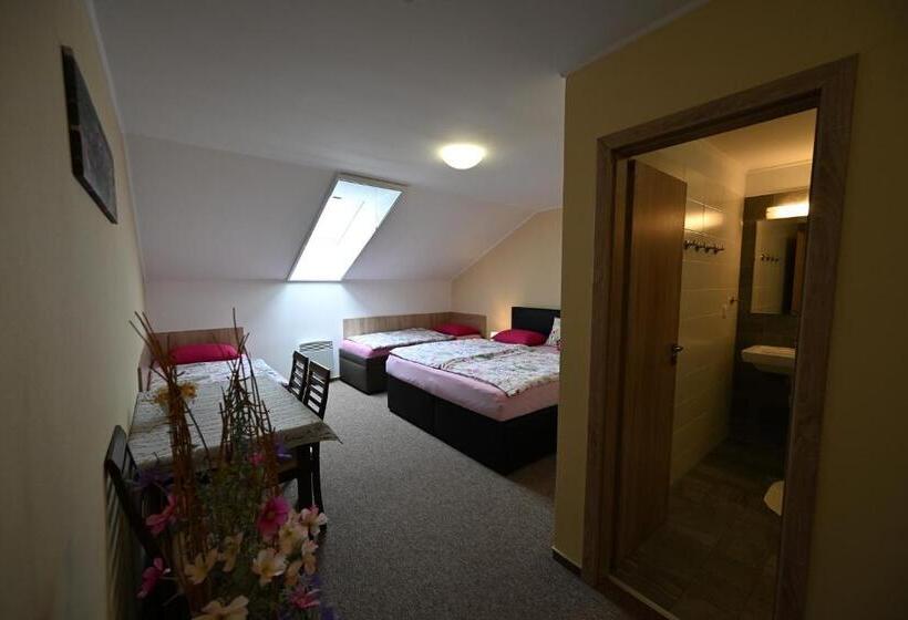 פנסיון Rodinne Vinarstvi Spevak