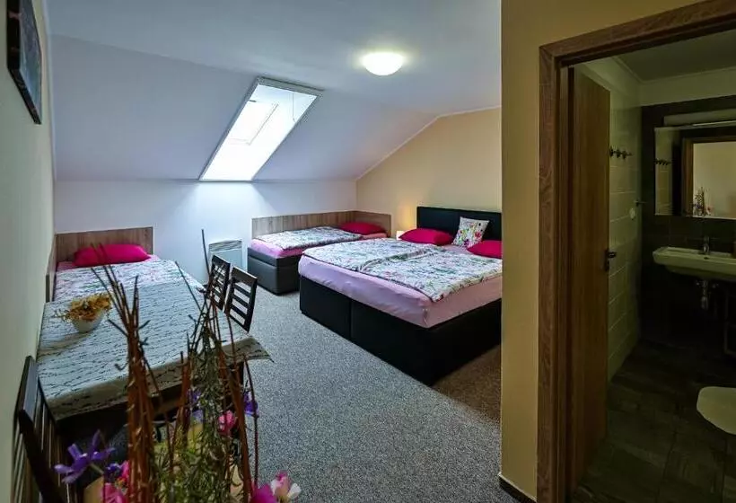 ペンション Rodinne Vinarstvi Spevak