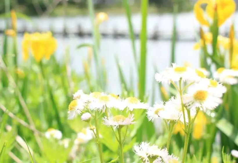 ریوکان Petite Hotel Konomi