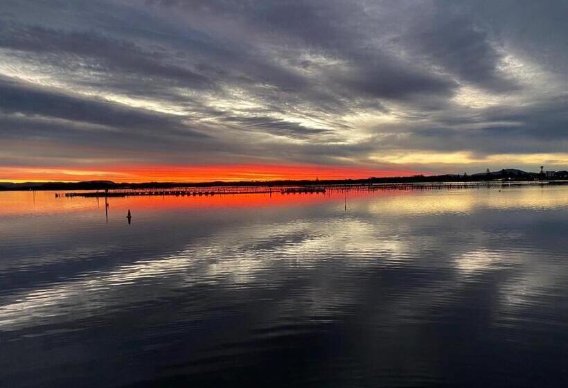 Sunrise Luxury Apartments