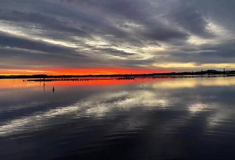 Sunrise Luxury Apartments